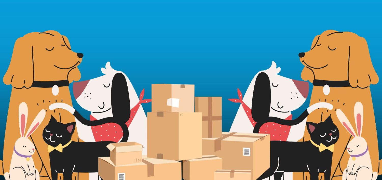 YOUR PET IS MOVING TOO: HOW WE MAKE THEIR RELOCATION SAFE AND STRESS-FREE